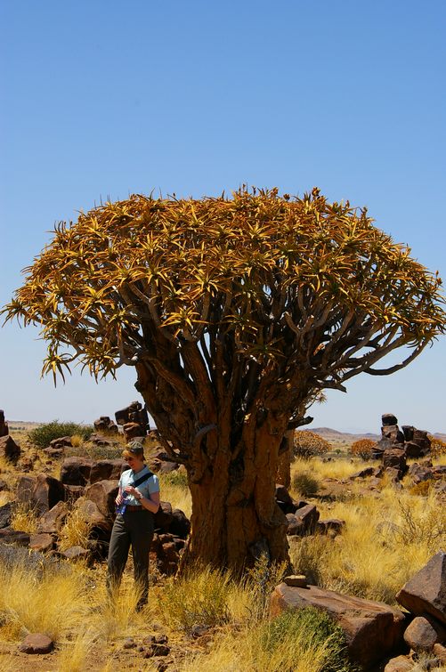 103 Namibia Okt 2006 .JPG